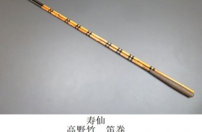 sao604