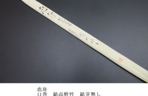 sao613